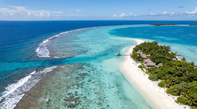 Ant Atoll
