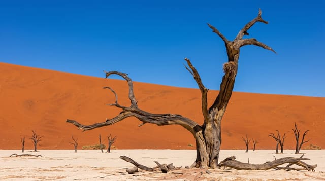 Sossusvlei and Deadvlei