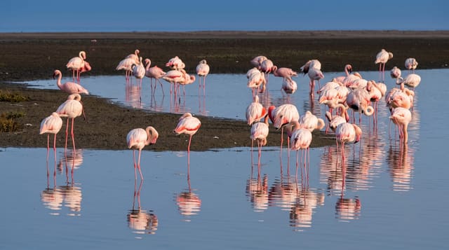 Walvis Bay Lagoon