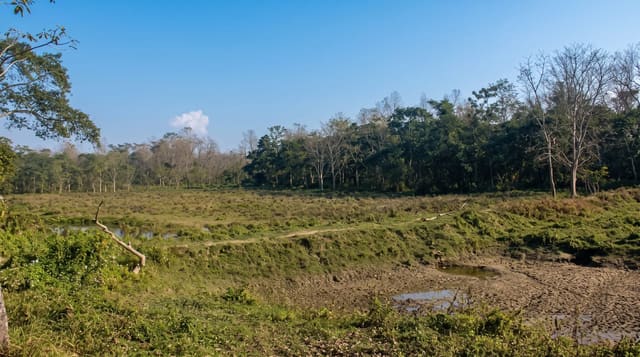 Chitwan National Park