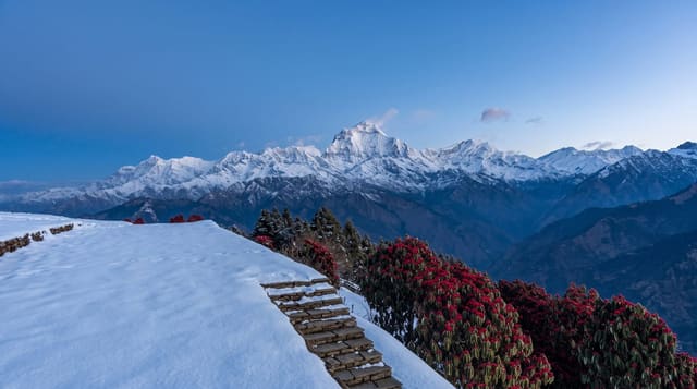 The Ghorepani Poon Hill Trek