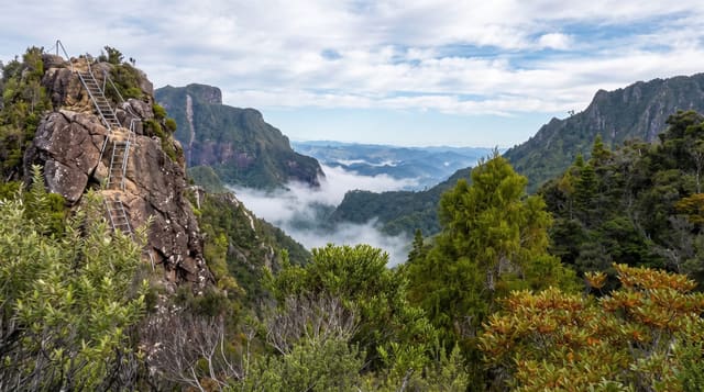 The Pinnacles and Kauaeranga Valley