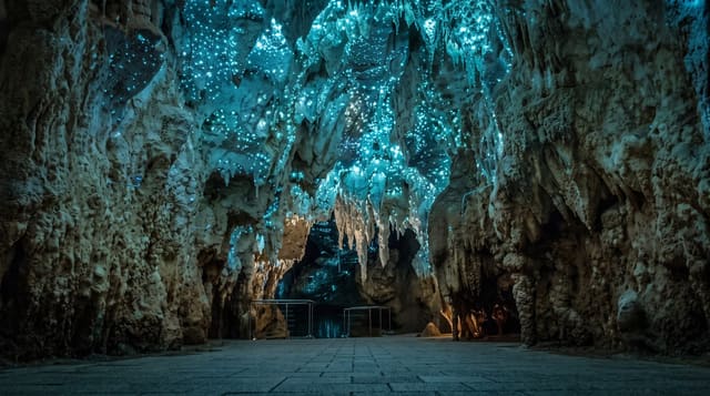 The Waitomo Glowworm Caves