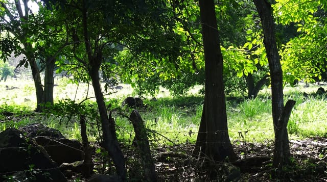 Ometepe Island