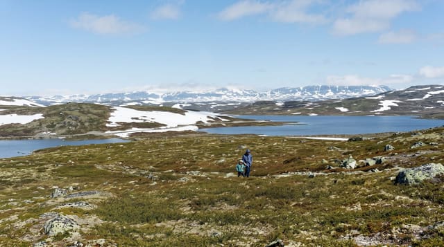 Hardangervidda
