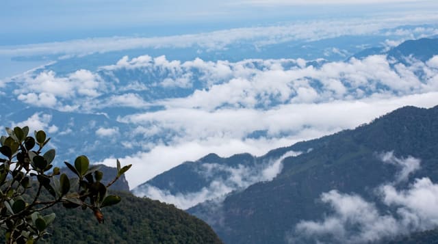 Cerro Hoya