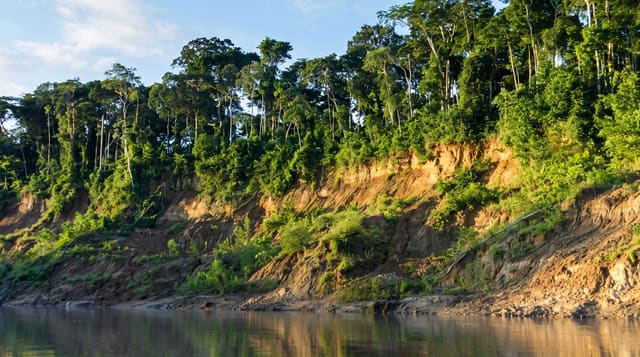 Manú National Park