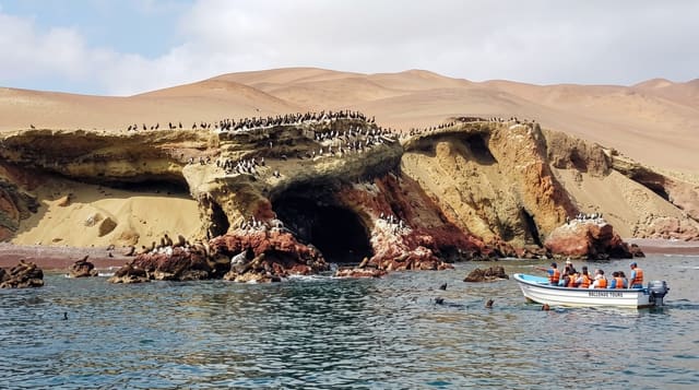 Paracas and the Ballestas Islands