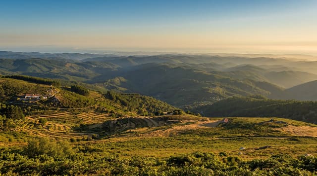 Serra de Monchique