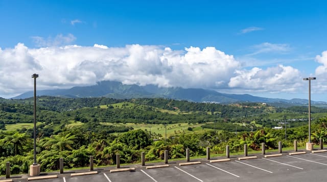 El Yunque National Forest