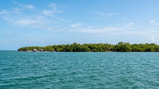 Cayo Aurora