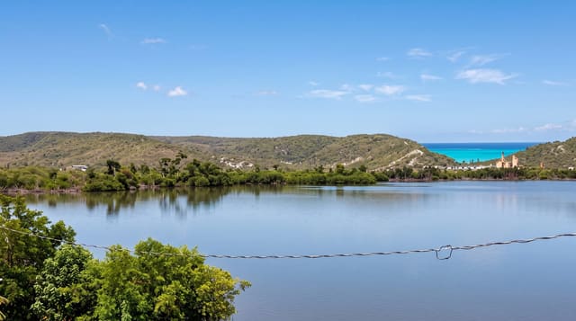 Guanica Dry Forest