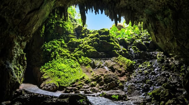 The Río Camuy Cave Park