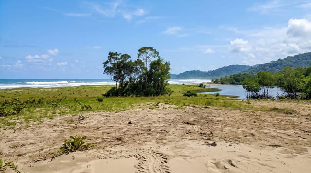 Conkouati-Douli National Park