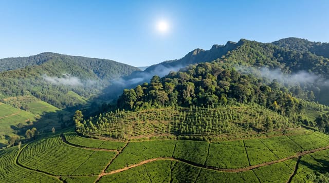 Gishwati-Mukura National Park