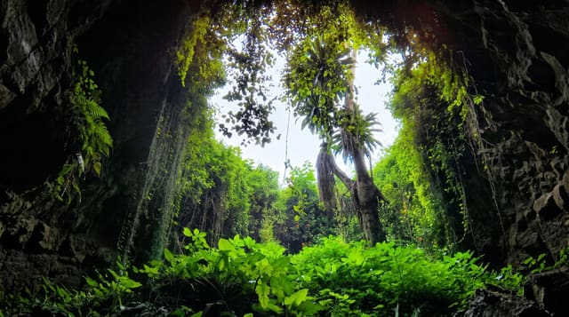The Musanze Caves