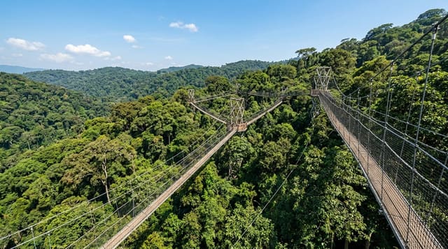 Nyungwe Forest National Park