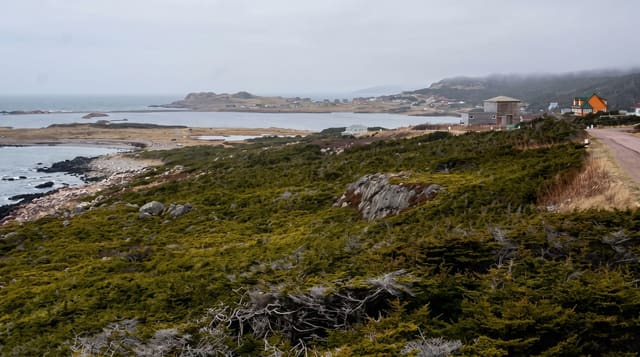 Miquelon Village