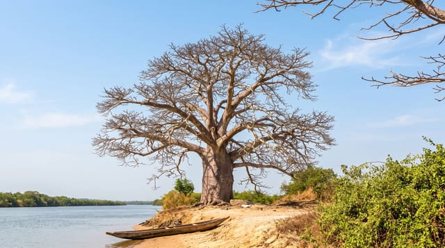 Casamance