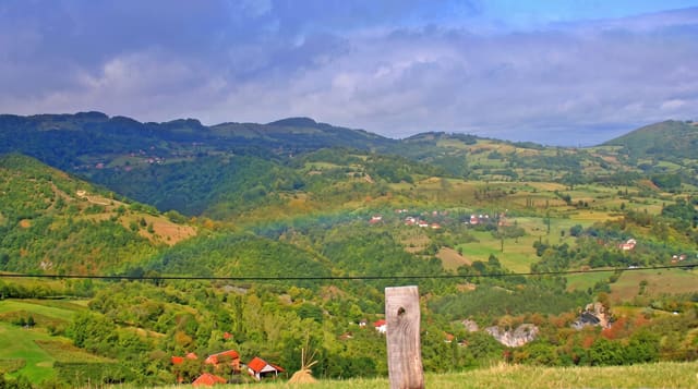 Tara National Park and the Drina
