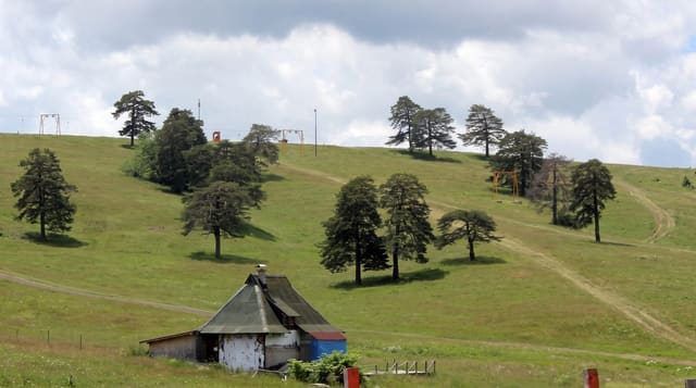 Zlatibor