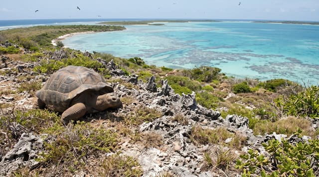 Aldabra Atoll
