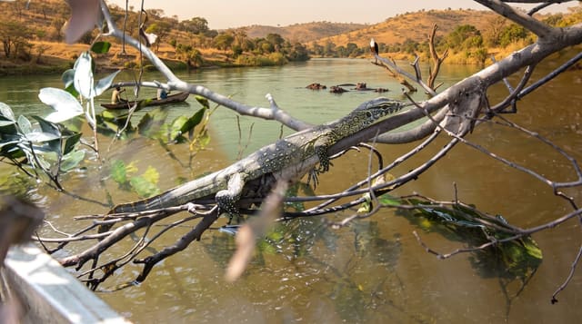 Outamba-Kilimi National Park