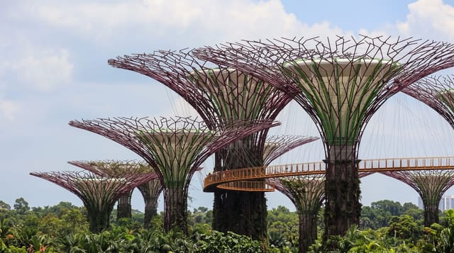 Gardens by the Bay