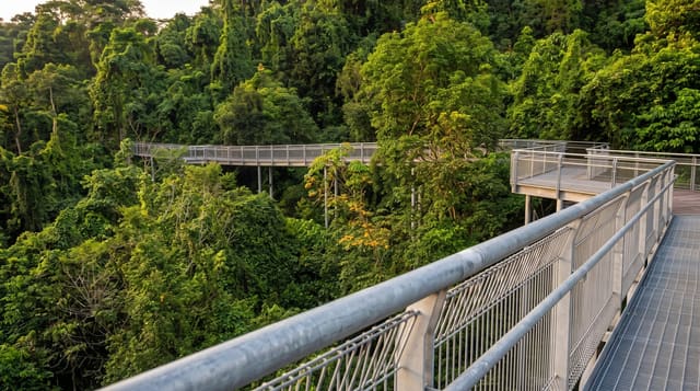 The Southern Ridges