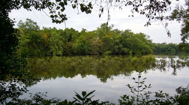 Sungei Buloh Wetland Reserve