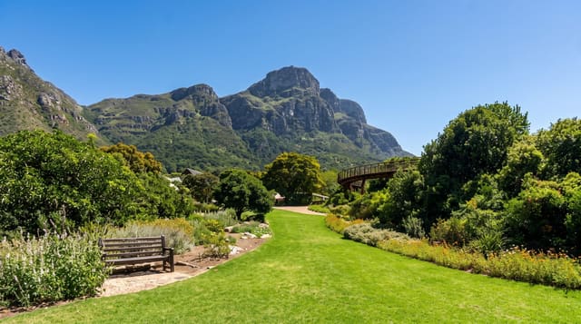 Kirstenbosch Botanical Garden