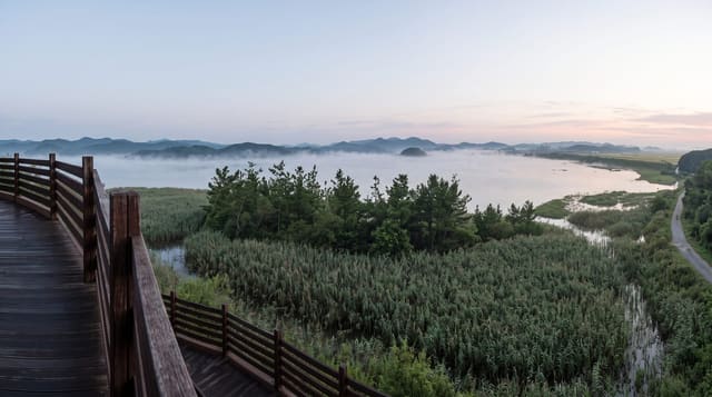 Upo Wetland