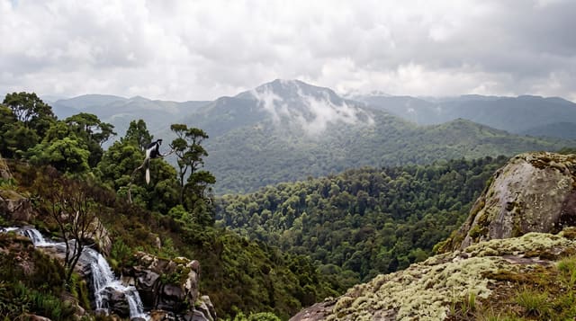 The Imatong Mountains