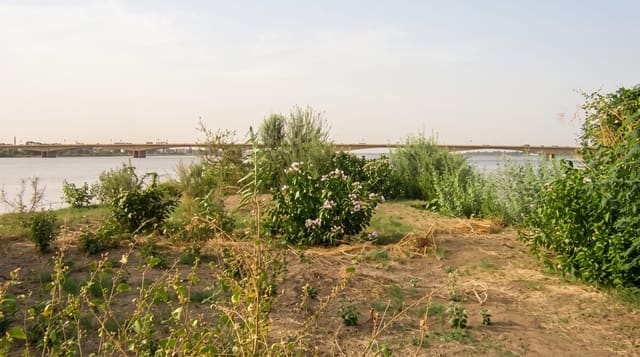 The Confluence of the Niles