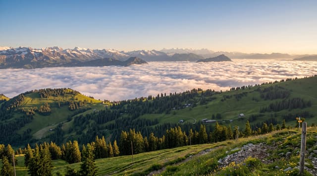 Rigi