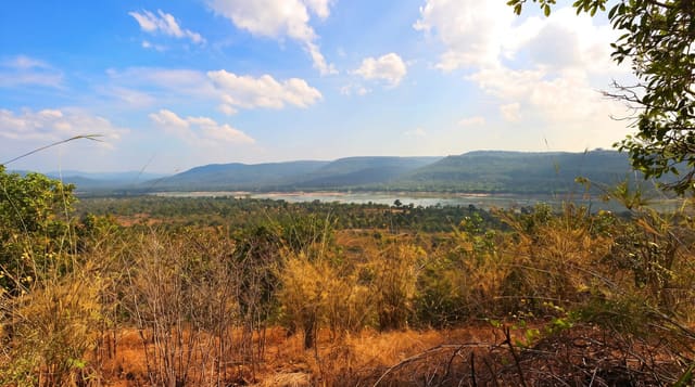 Pha Taem National Park