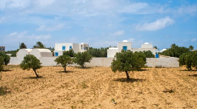 The Island of Djerba