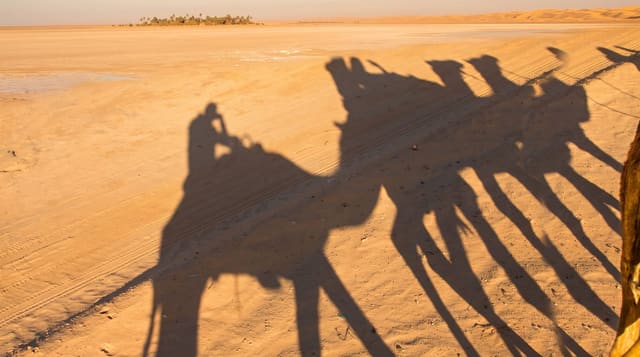 The Tunisian Sahara and Douz