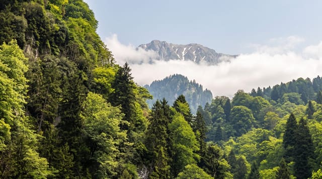 The Kackar Mountains