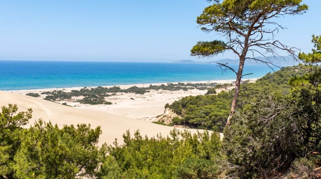 Patara Beach