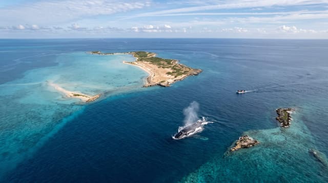 The Turks Island Passage