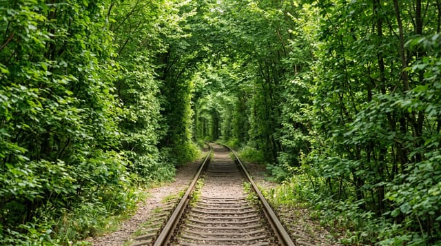 The Tunnel of Love