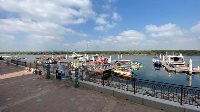 The Abu Dhabi Mangroves