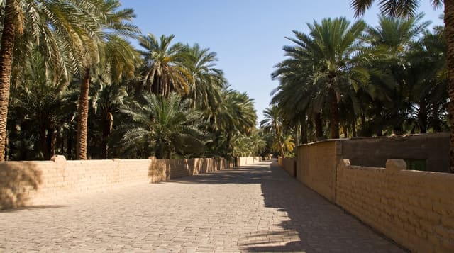 Al Ain Oasis