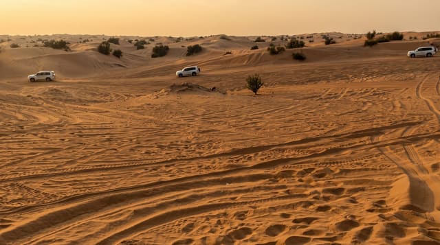 The Dubai Desert Safari