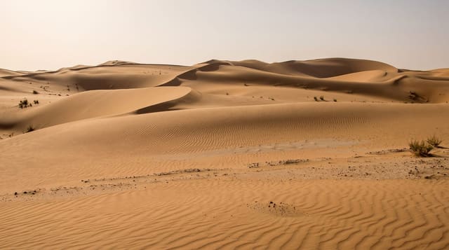 Liwa and the Empty Quarter