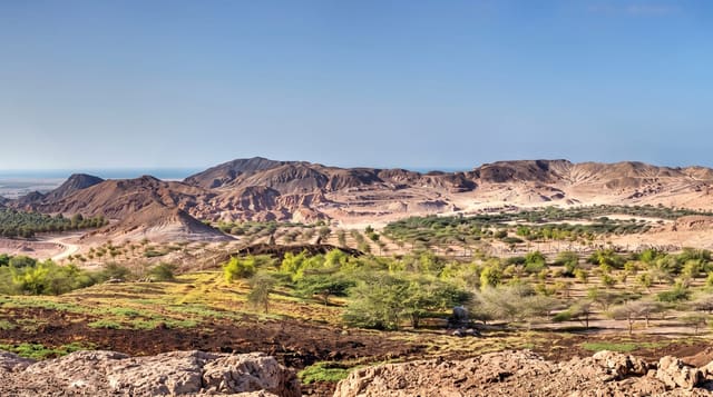 Sir Bani Yas Island