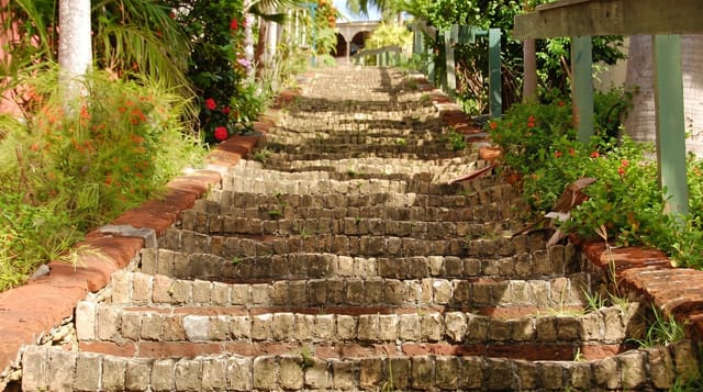 The 99 Steps