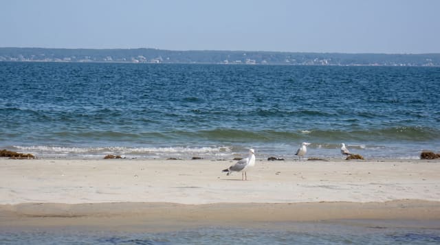 Sandy Point