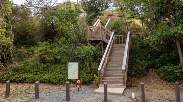 The St John Trails